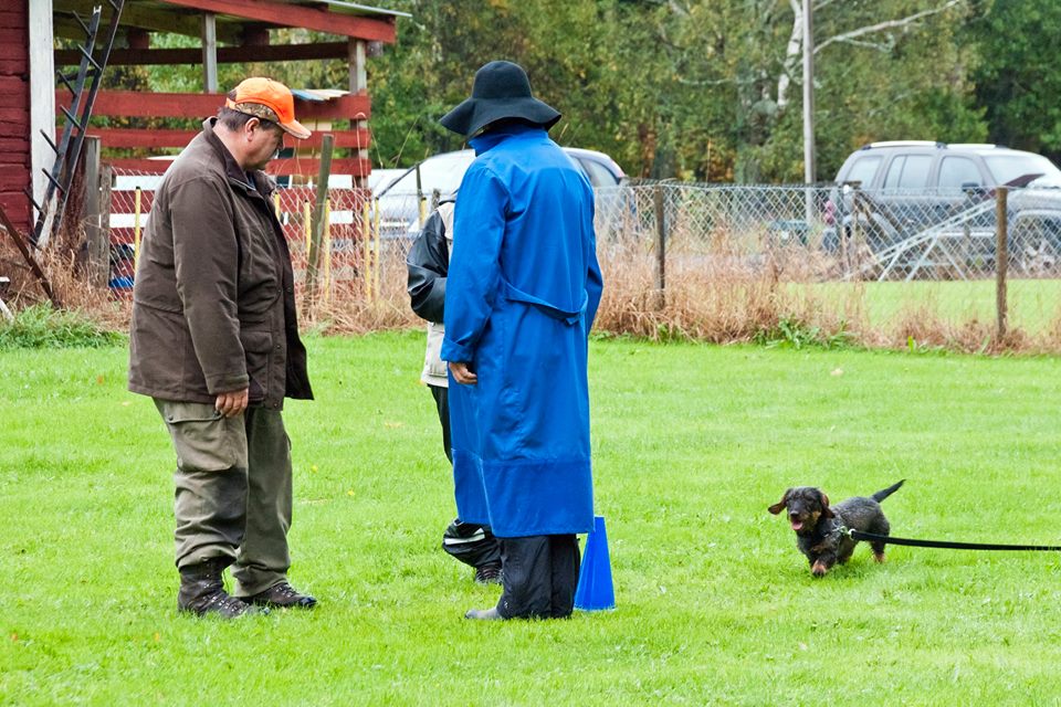 SLU till Skaraborg 20-21 augusti