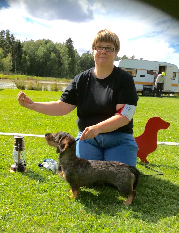 Sommarutställningen i Fornbyn, Skara