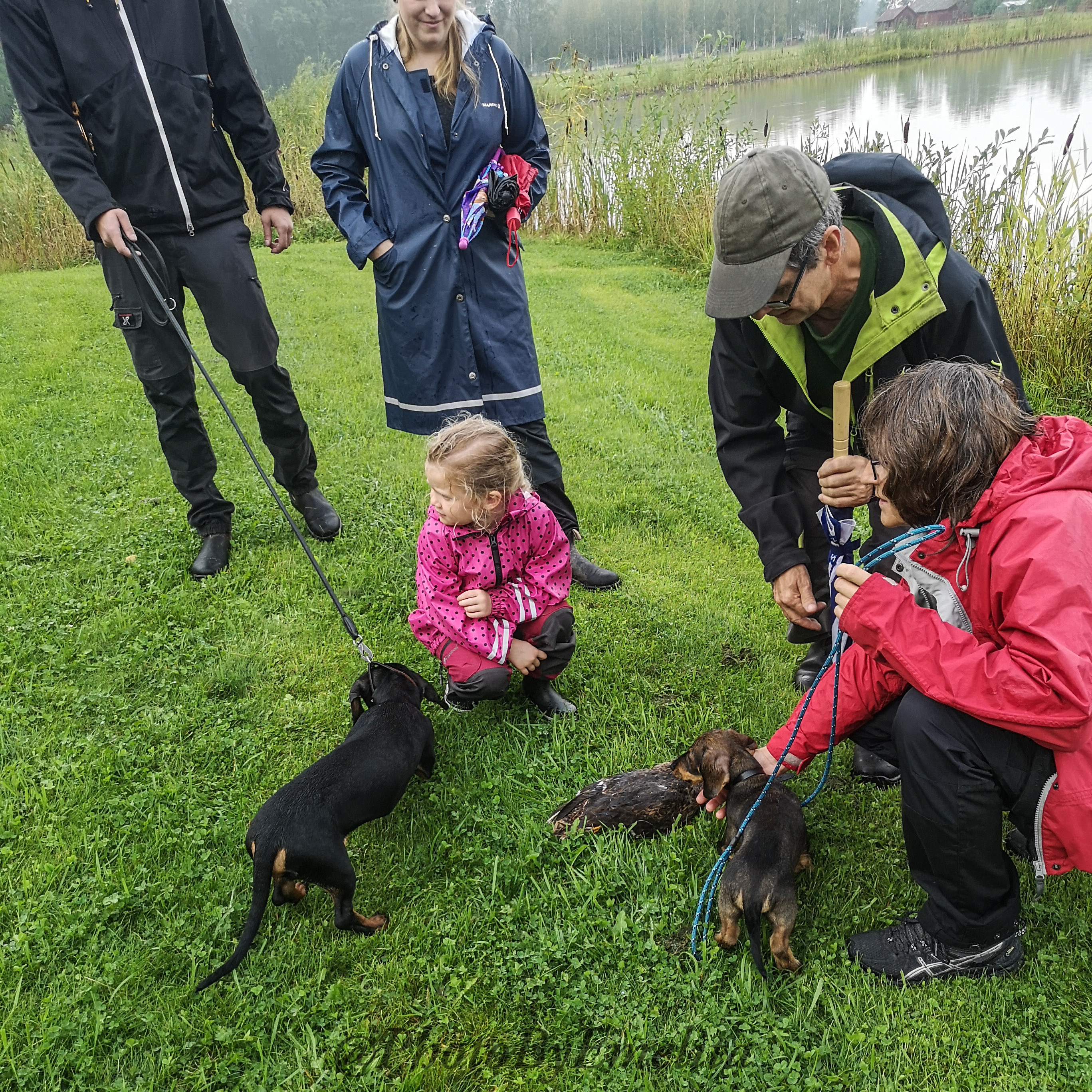 Taxdag 2019, trots regn!