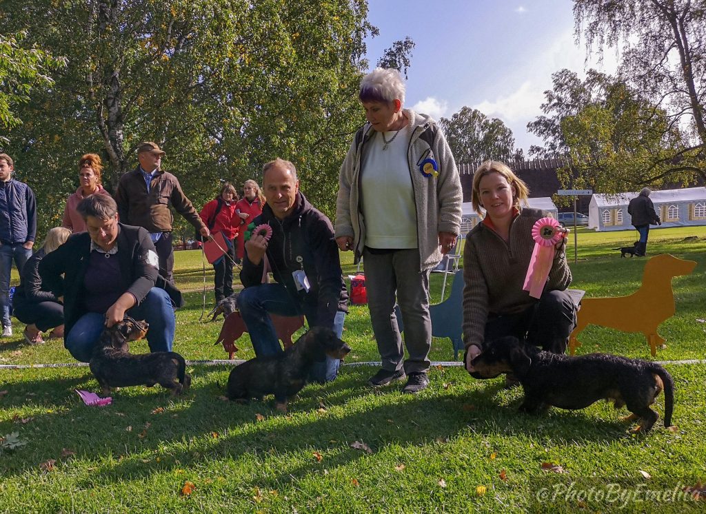 Höstutställning 2019 Foto: Emelita Persson/Maria Nordström