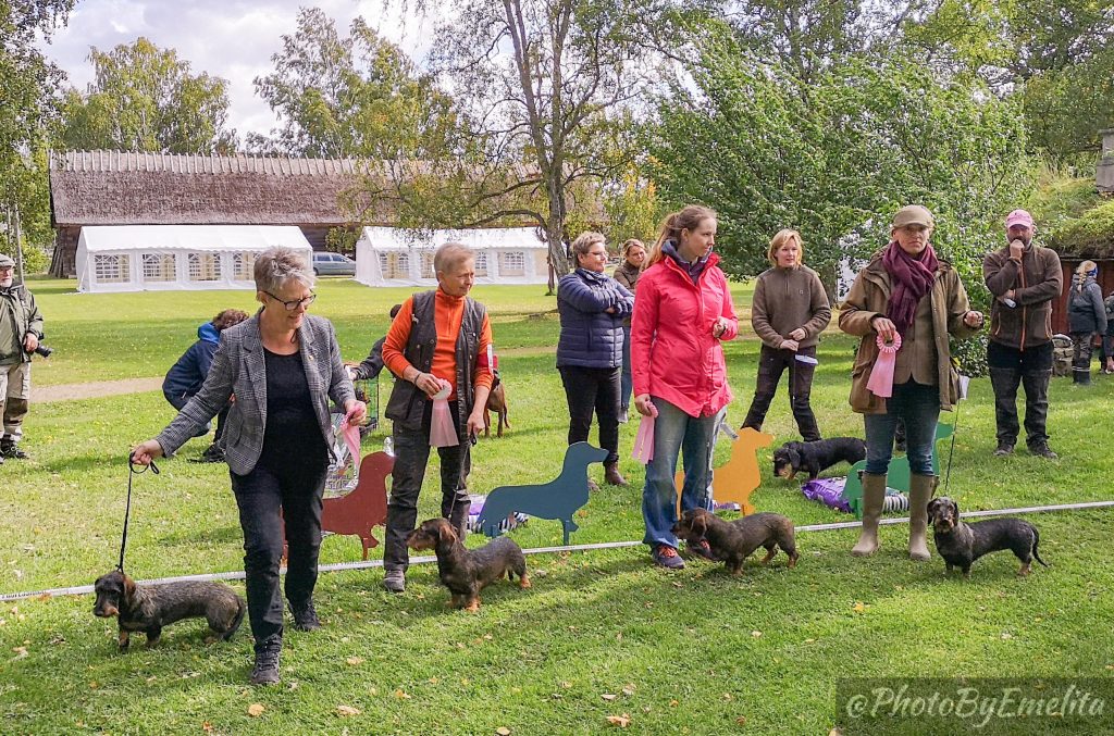 Höstutställning 2019 Foto: Emelita Persson/Maria Nordström