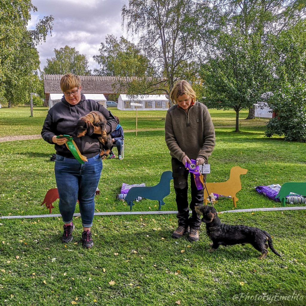 Höstutställning 2019 Foto: Emelita Persson/Maria Nordström