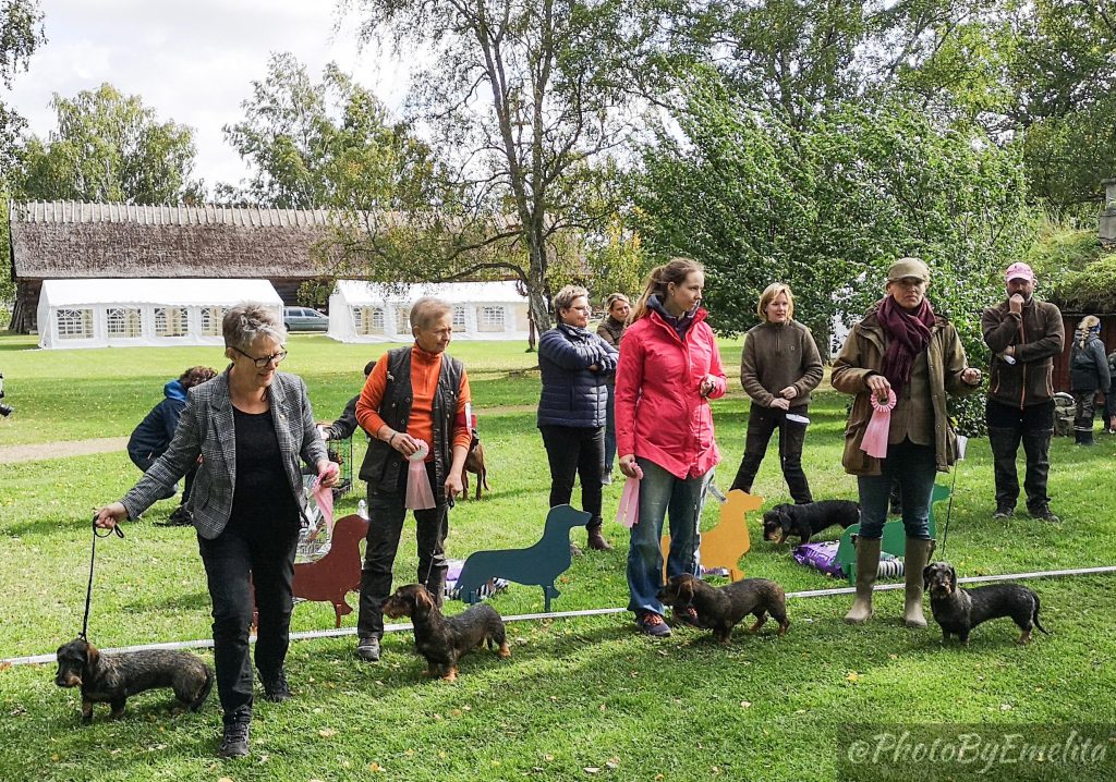 Höstutställning 2019 Foto: Emelita Persson/Maria Nordström