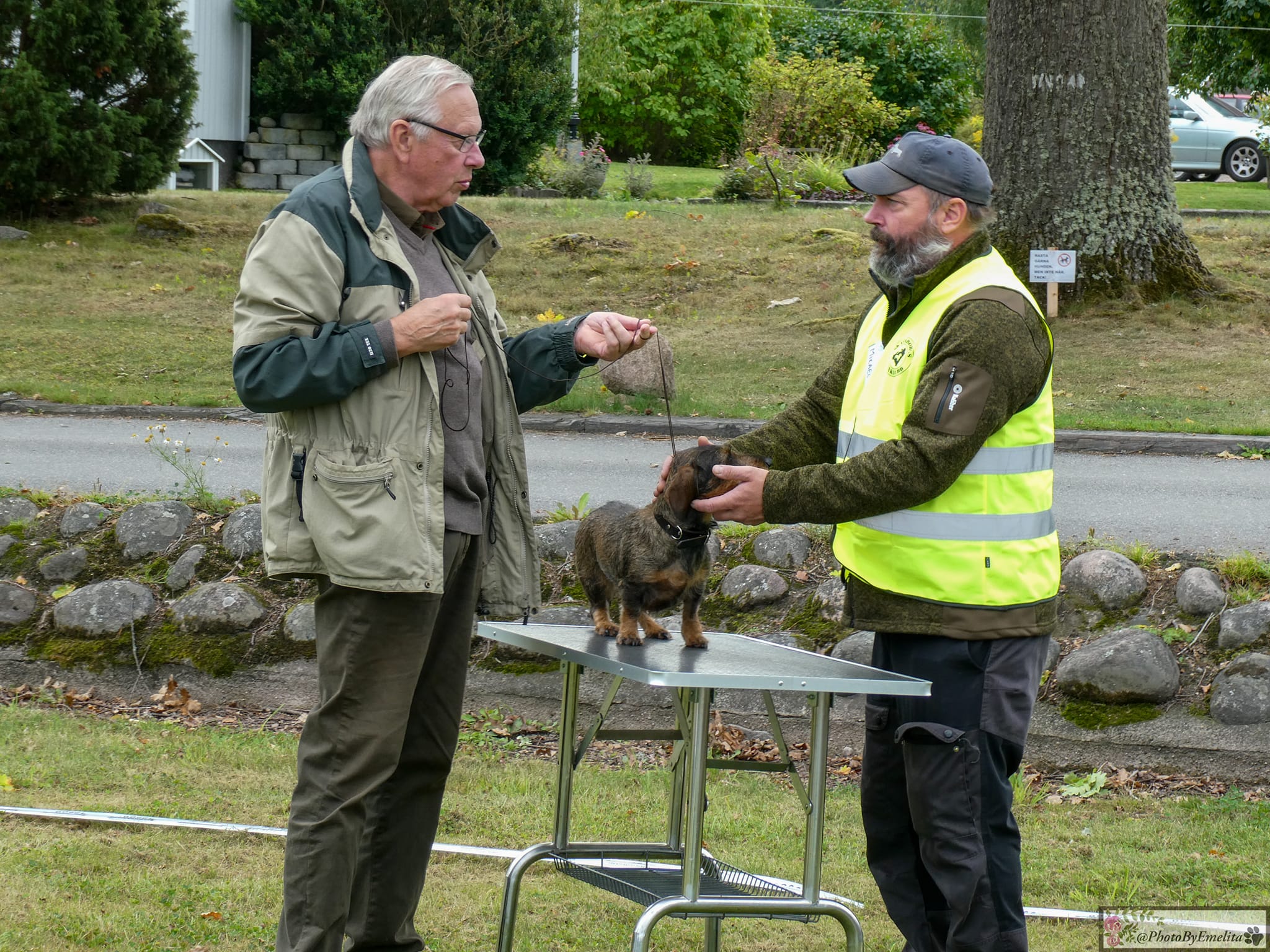 Sommarutställningen 2025 – Ringträning