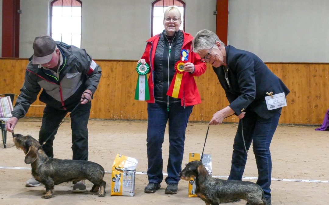 FÖRLÄNGD ANMÄLNINGSTID – SOMMARUTSTÄLLNINGEN